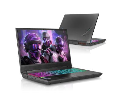 Gaming Laptop AMD Ryzen 5 Panther